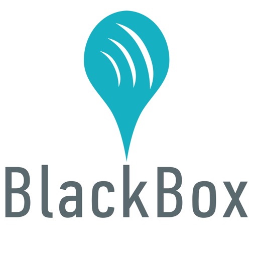 Sistema Blackbox Icon