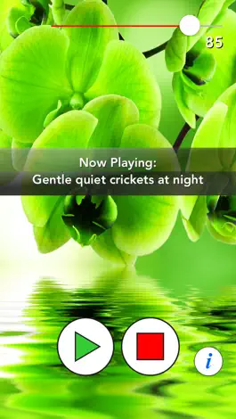 Game screenshot Sleepmaker Nature Free apk