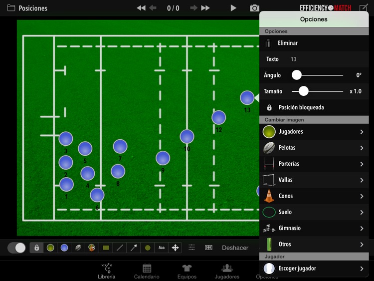 Efficiency Match Lite Rugby