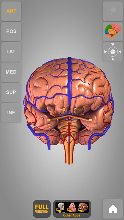Brain - 3D Atlas of Anatomy Lite screenshot-3