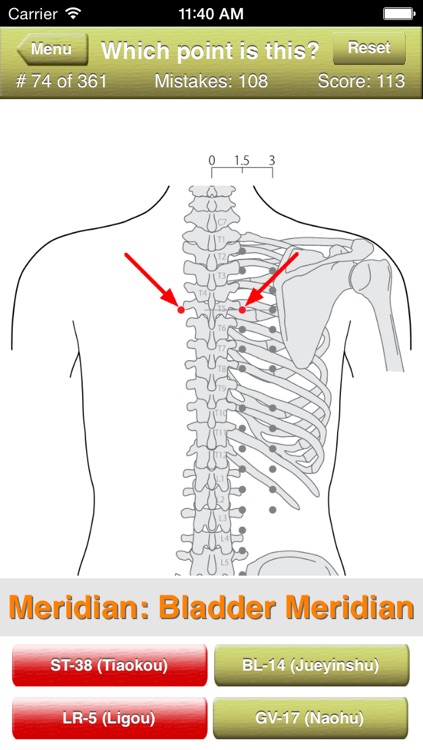 Acupuncture Points Quiz