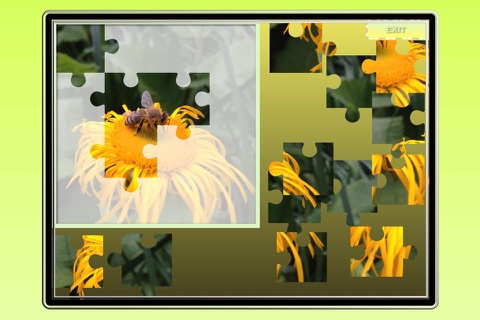 A photo puzzle with beautiful pictures screenshot 2