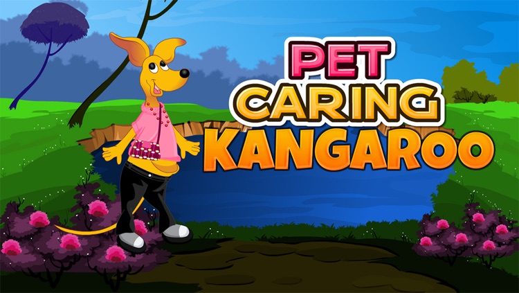 Pet Caring Kangaroo