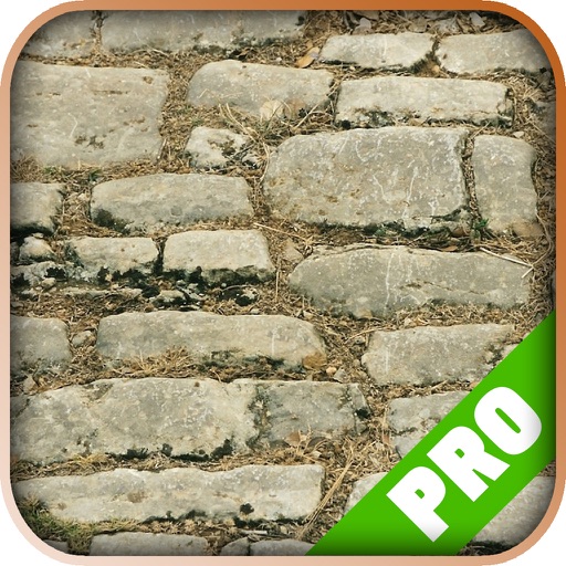 Game Pro - Mount & Blade: Warband Version iOS App