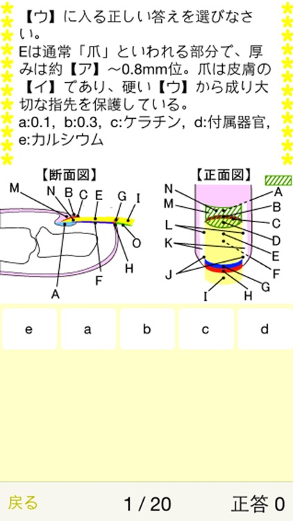 ネイリスト検定1級