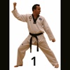 Taekwondo Pattern 1