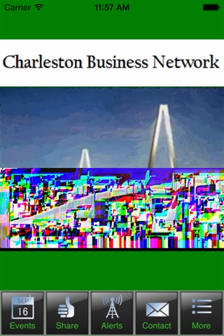 Charleston Business Network screenshot 3