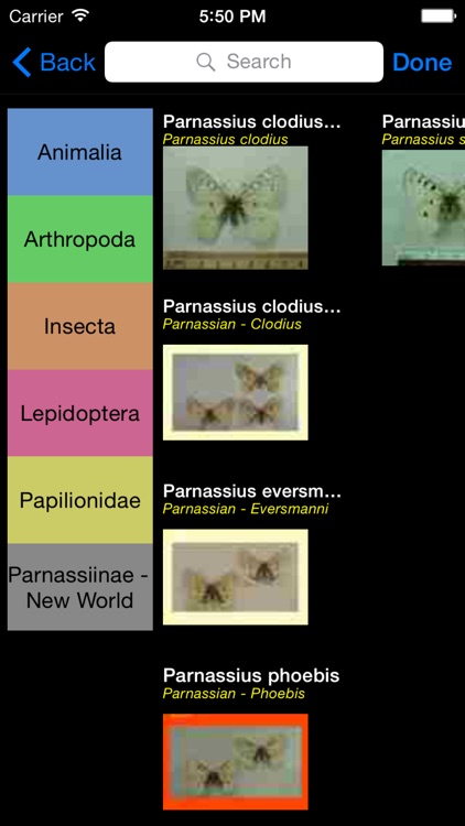 Butterflies & Moths of North America