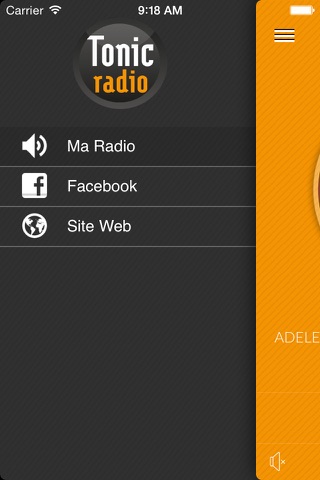 Tonic Radio screenshot 2