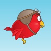 Skippy Brick Bird game - make him jump like a squirrel before you hit them obstacles