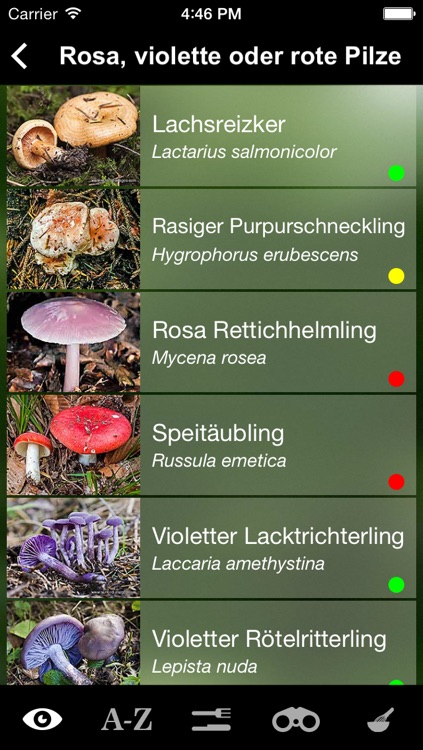 Pilze Sammeln, Bestimmen und Zubereiten - der Pilzführer für Wald und Natur