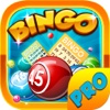 Bingo Golden Win PRO - Play Online Casino and Gambling Card Game for FREE !