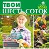 Твои шесть соток