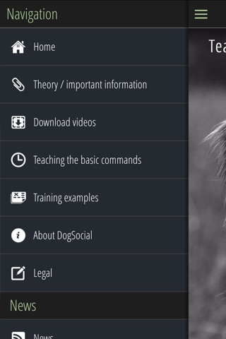DogSocial Dog Training FREE - Teaching the Basic Commands screenshot 2