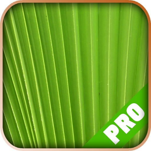 Game Pro - Pillars of Eternity Version iOS App