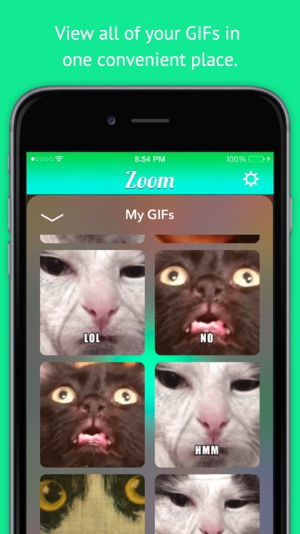 Zoom - GIF Maker