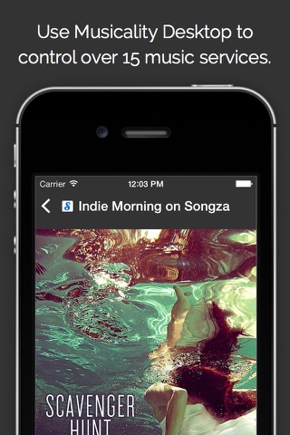 Musicality Remote screenshot 2