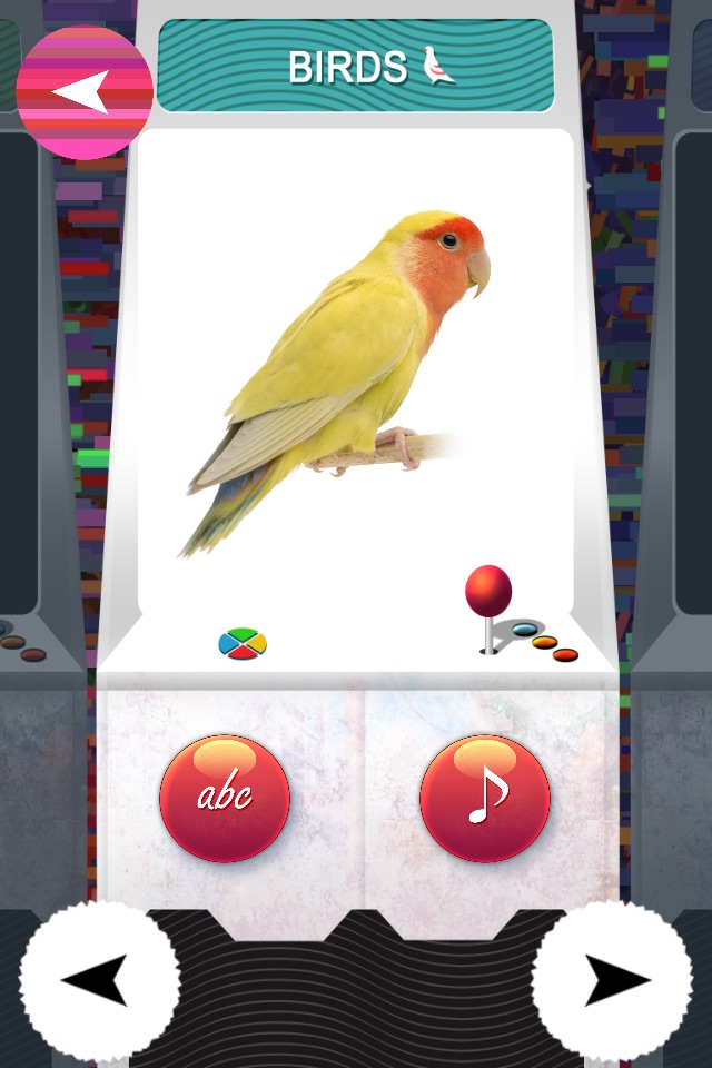 T.O.Y ( Teach Our YoungOnes ) - Free PreSchool Educational Learning Games For Toddlers And Kindergarten Kids With Birds and Animals sounds screenshot 2