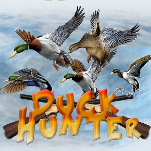 Duck hunter game Icon