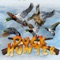 Duck hunter game