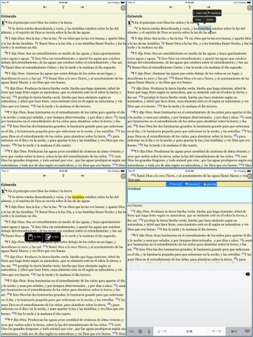 La Biblia Sagradas Escrituras (Spanish Bible)HD screenshot 3