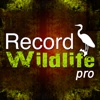 Record Wildlife Pro