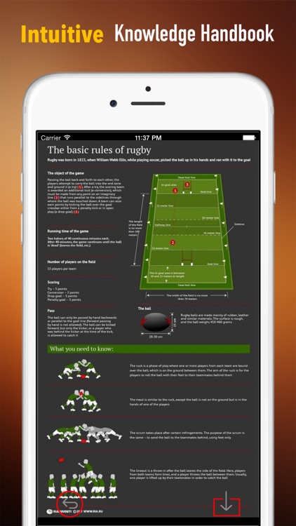 Rugby 101: Quick Learning Reference with Video Lessons and Glossary