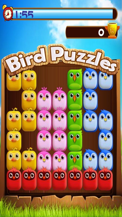 Bird Puzzles