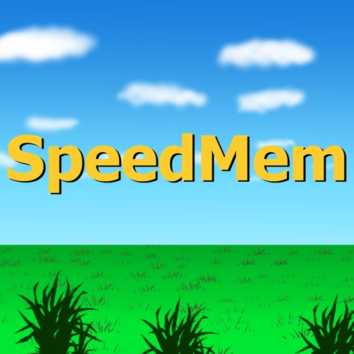SpeedMem Icon