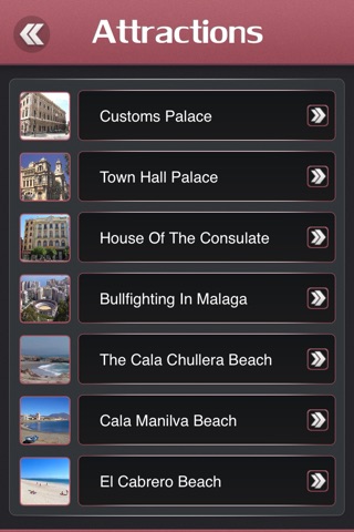 Malaga Offline Travel Guide screenshot 3