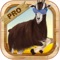 Goat Jump Madness Game PRO