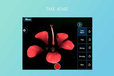 Hibiscus 3D screenshot 3