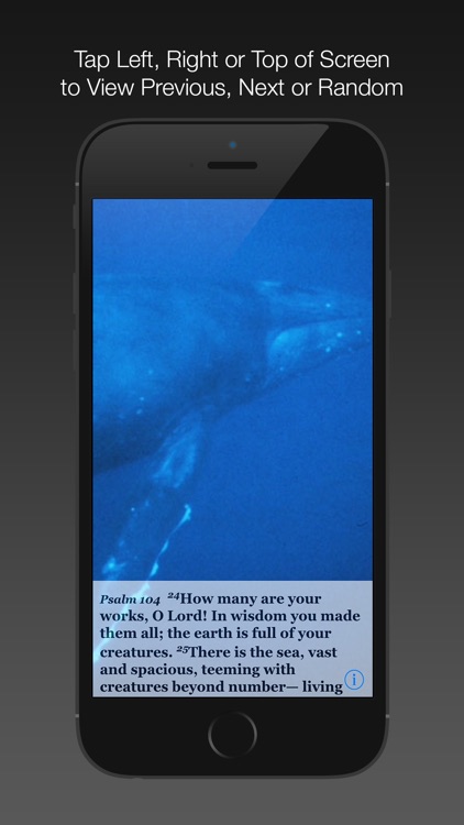 Psalm Daily Quotes NIV screenshot-4