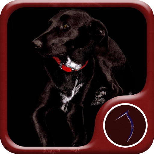 Dog Wallpaper: HD Wallpapers iOS App