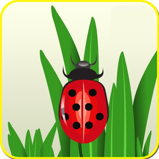 Spring Garden - Breeze Your Brain iOS App