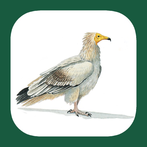 eGuide to the Handbook of Bird Identification for North Africa