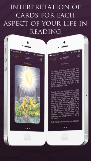 Gypsy Tarot by George Valentino(圖5)-速報App