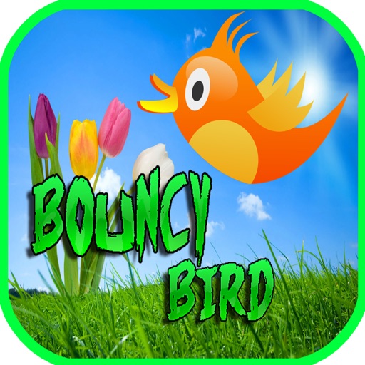 Bouncy Bird : Don't Touch The Spiky Birds iOS App