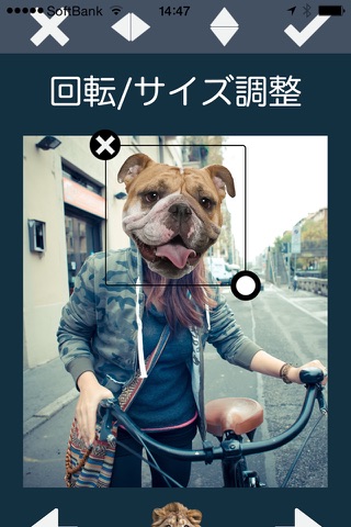 Animal Face Photo Booth screenshot 3