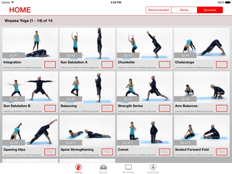Vinyasa Yoga Lessons for iPad