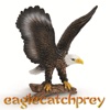 eagle catch prey