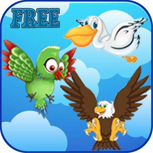 Graden Birds Touch FREE iOS App