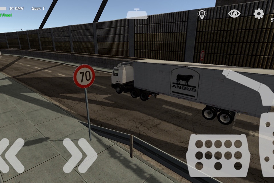 TIR Simulation & Race 3D : City highway screenshot 2