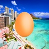 Egg in Hawaii