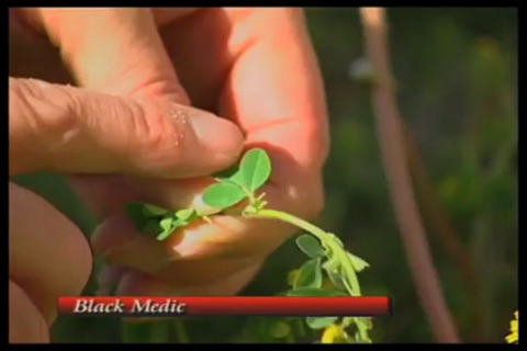 Gardening For Beginners screenshot 2