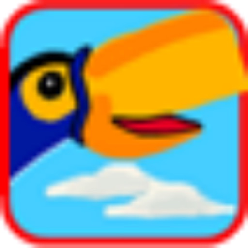 Birdy Bash iOS App