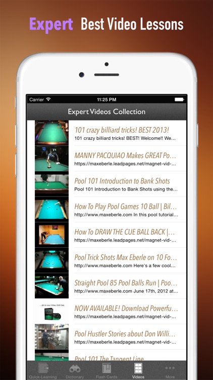 Billiards 101: Quick Learning Reference with Video Lessons and Glossary screenshot-4