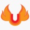 This app allows gay men to not only meet one person but organize to meet a group of other like minded gay men for a party, gathering and much more