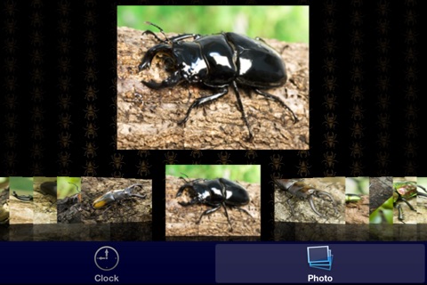 Stag Beetle Clock screenshot 4