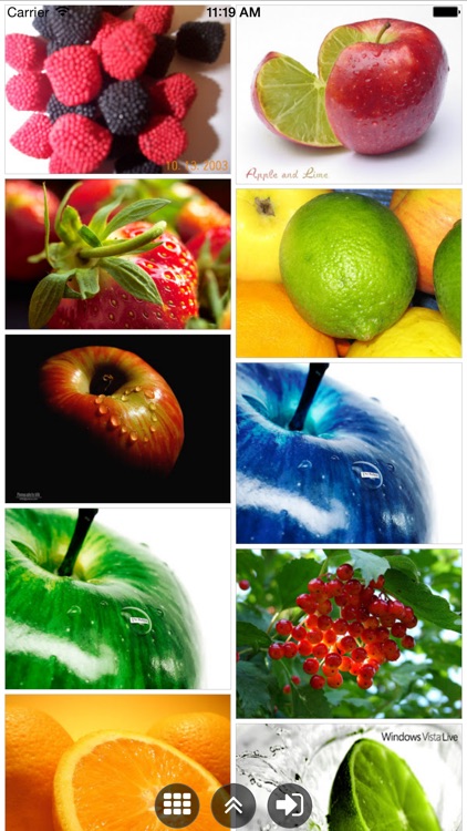 Explorer for Picasa